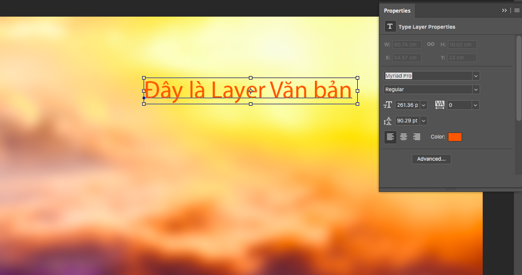 Text-Layer.