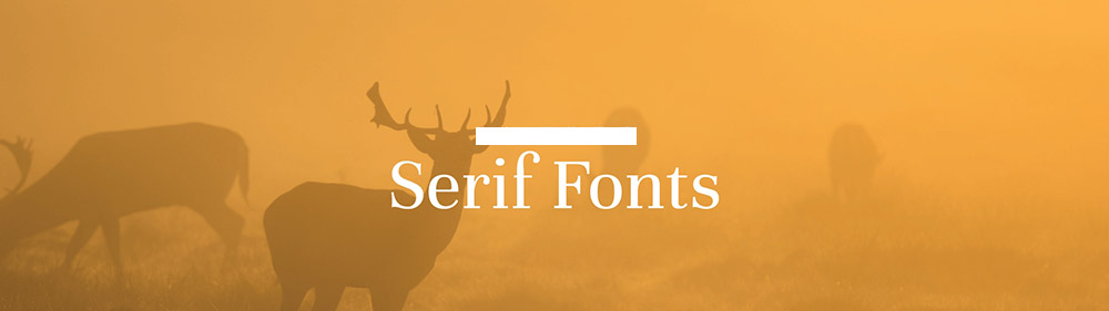 serif-font.jpg