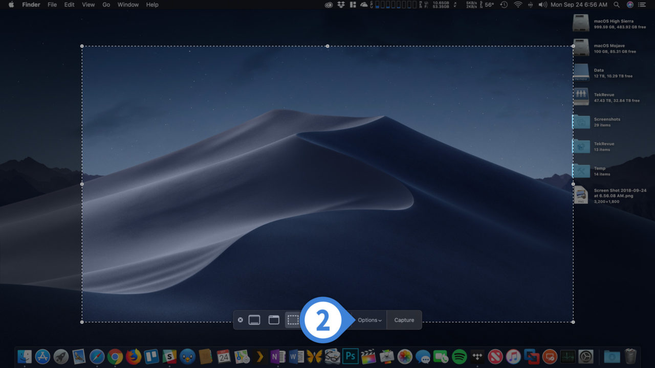 mac-mojave-screenshot-preview-options.jpg
