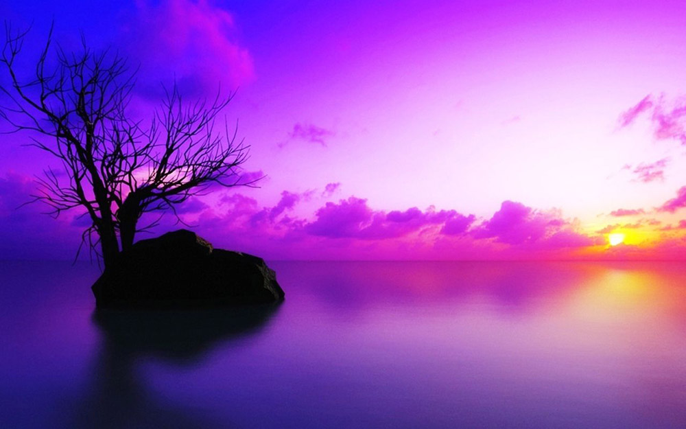 image-49719700-purple-sunset-wallpapers.jpg