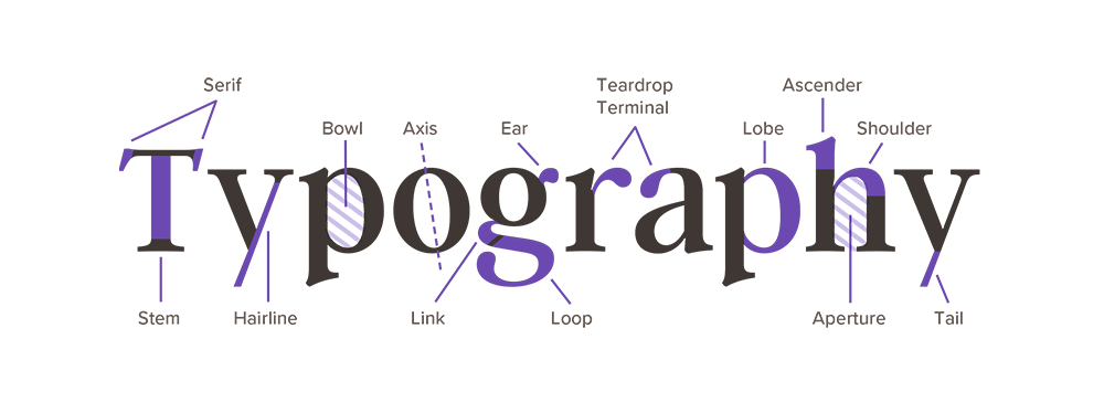 Typography-Basics-Cheatsheet-1.png