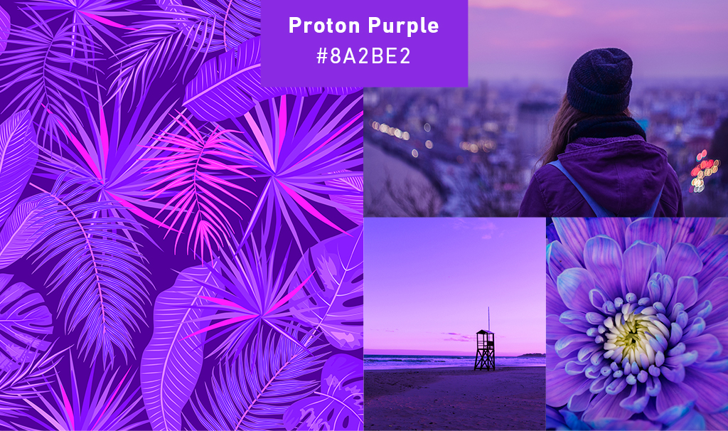 purple-collage.jpg
