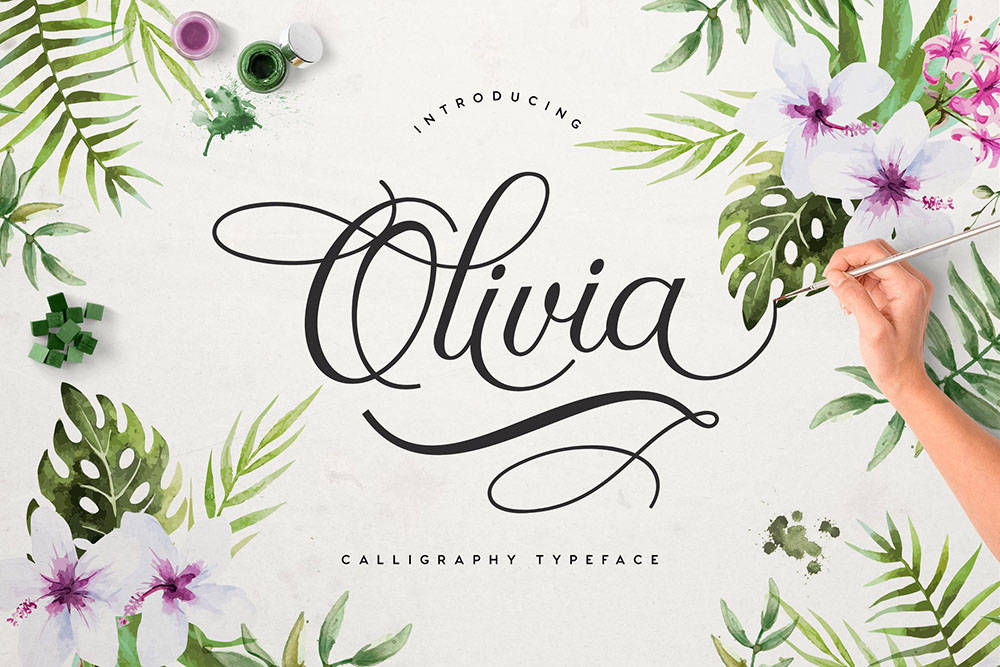 Olivia-Script-ft-ft.jpg