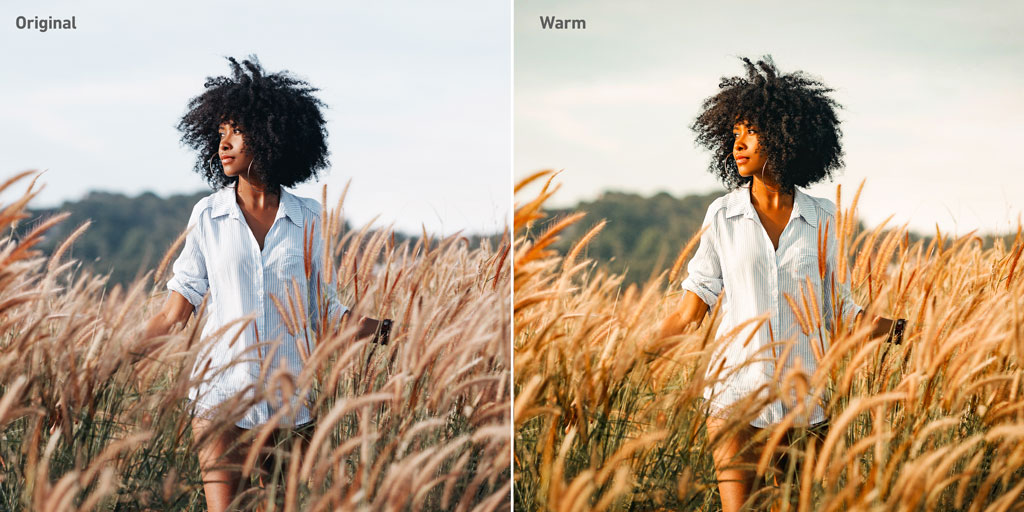 5-free-social-lightroom-presets-warm.jpg