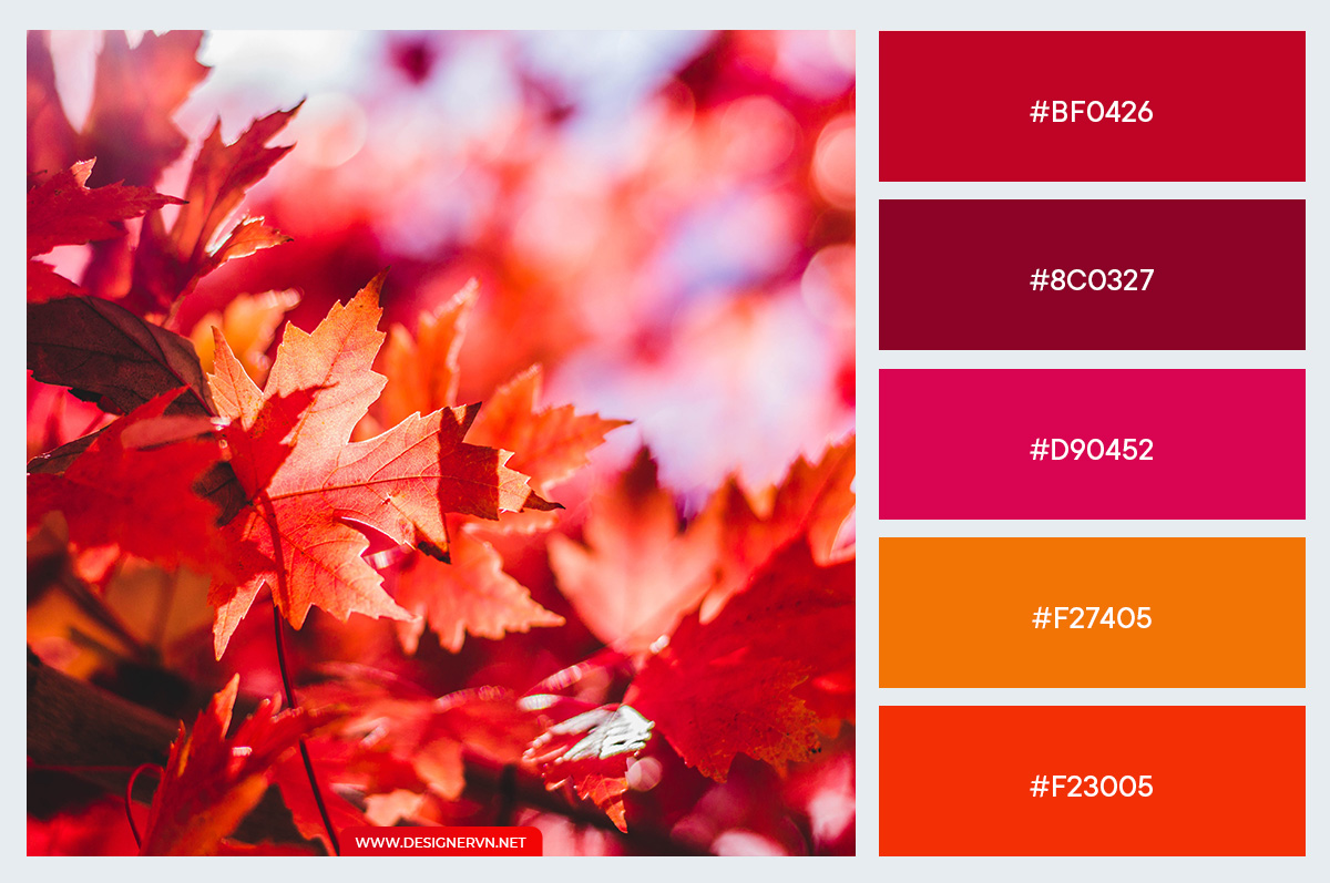 Palette-autumn-5.jpg