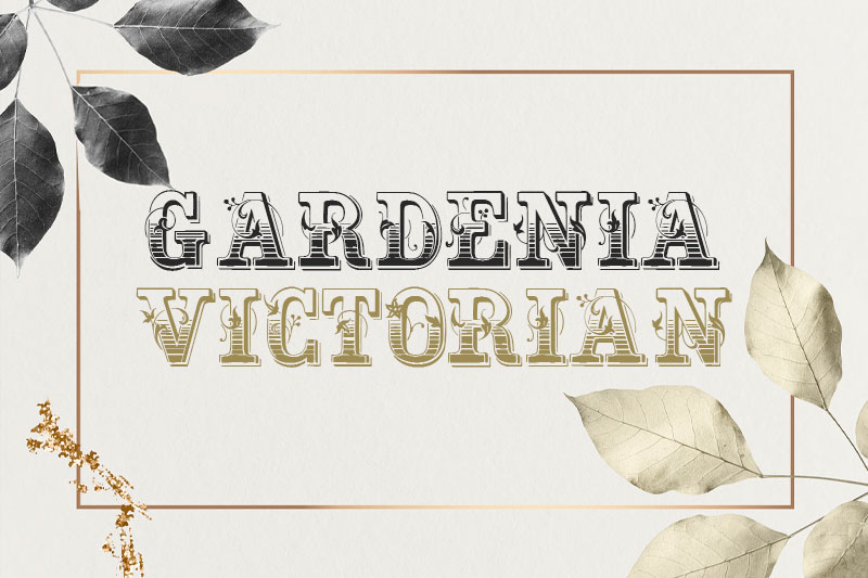 gardeniavictorian-leaf-font.jpg