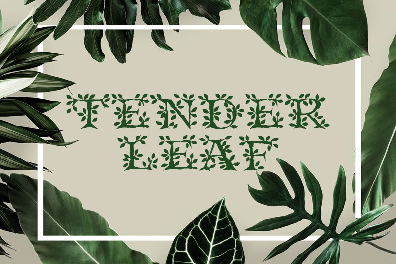 tenderleaf-leaf-font.jpg