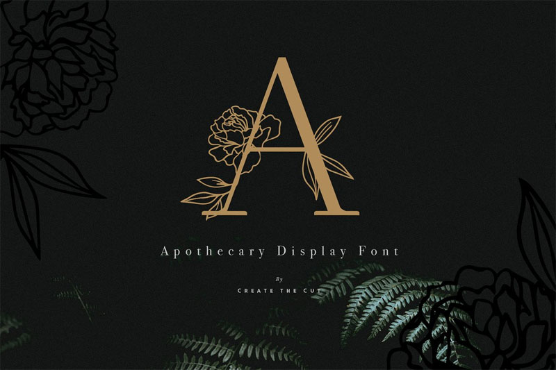apothecary-display-leaf-font.jpg