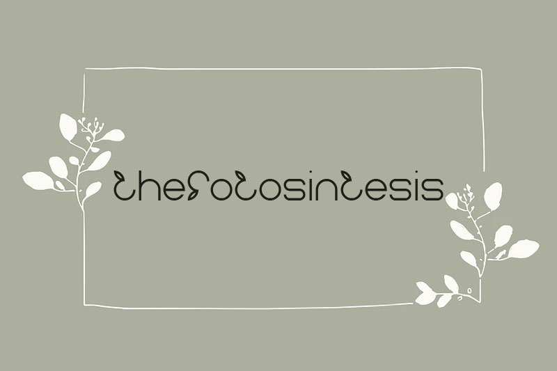 thefotosintesis-leaf-font.jpg