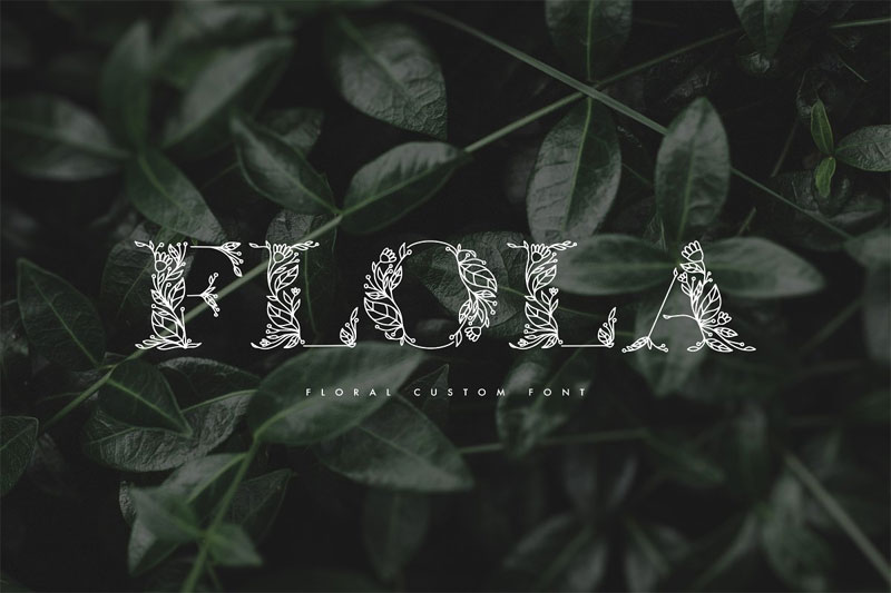 flola-hand-drawn-leaf-font.jpg
