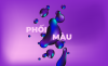PHOI-MAU.png