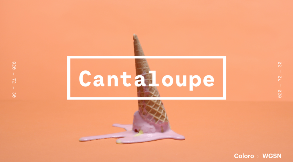 Cantaloupe.