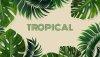 tropical.jpg