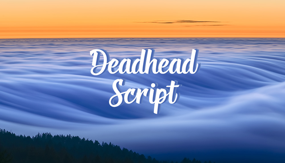Deadhead-Script.