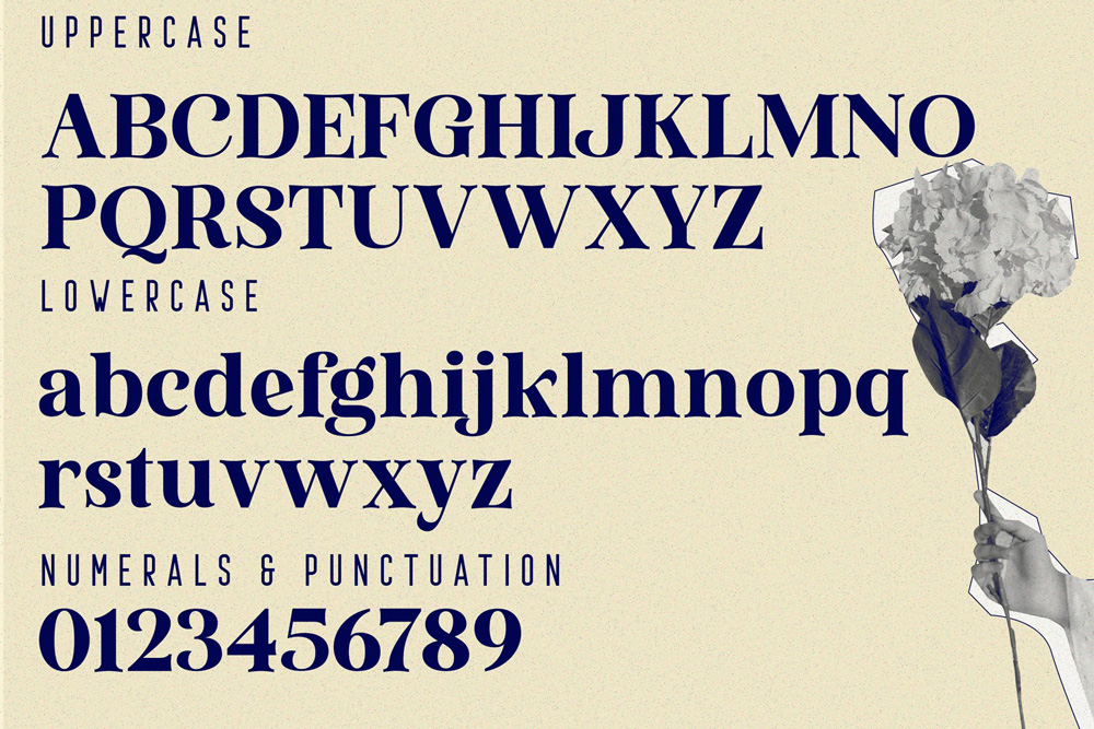 Amoitar-Elegant-Serif-Font-3.jpg