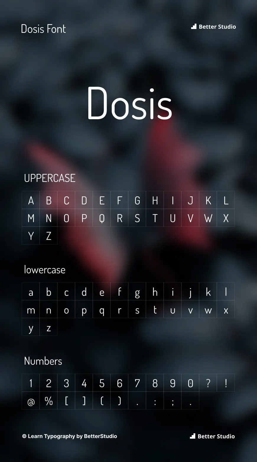 2-dosis-font-preview-betterstudio.com_.jpg