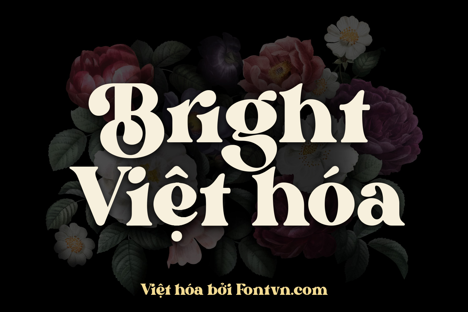 bright-vh.jpg