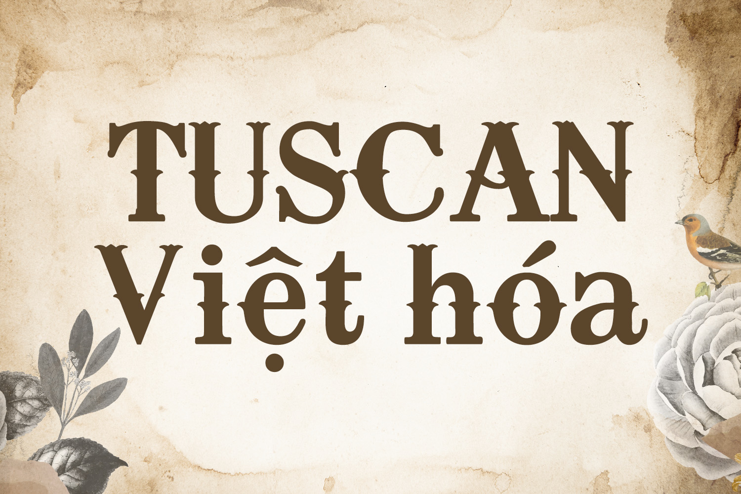 tuscan-vh.jpg