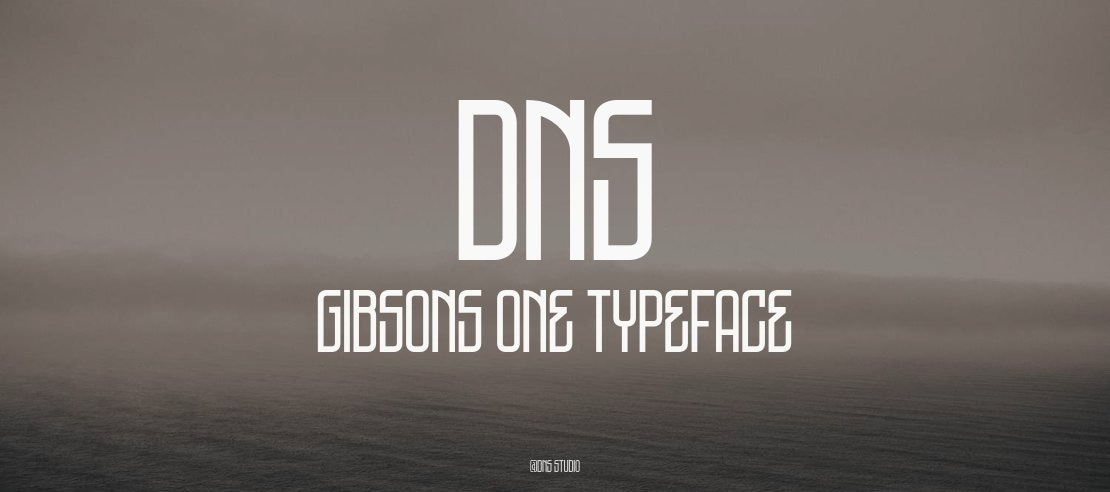 DNS Gibsons.jpg